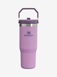 IceFlow Flip Straw Tumbler 30oz
