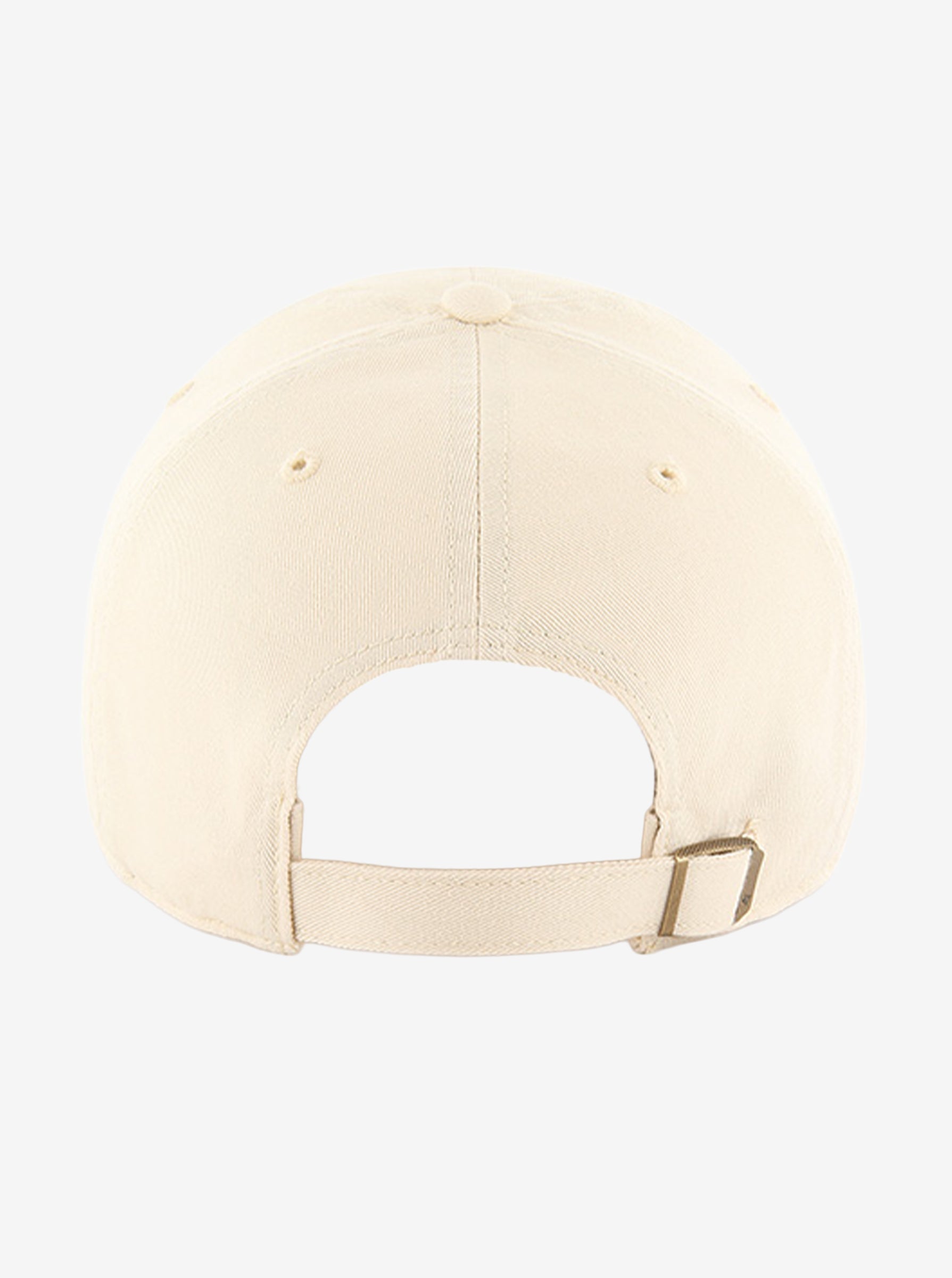 Cleanup Icon Cap
