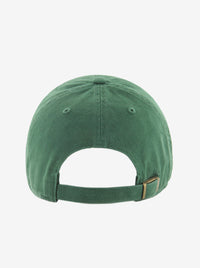 Cleanup Icon Cap