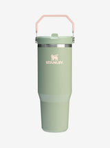 IceFlow Flip Straw Tumbler 30oz