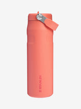 IceFlow Flip Straw Tumbler 24oz