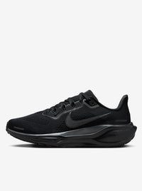 Pegasus 41 Womens