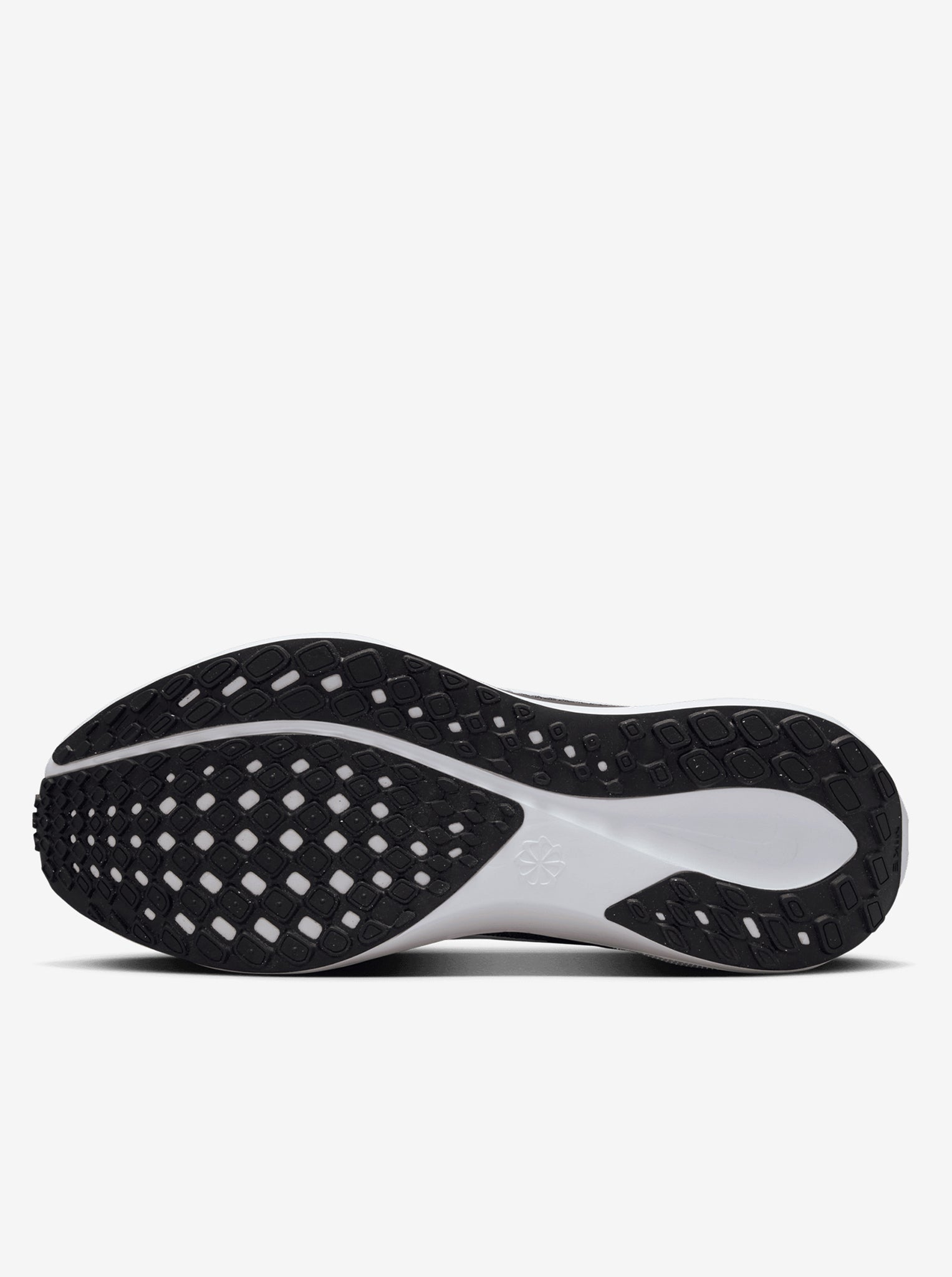 Pegasus 41 Womens