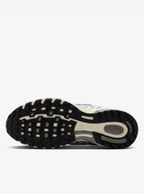 Air Pegasus 2005