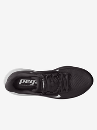 Air Zoom Pegasus 42 Womens
