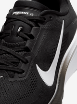 Air Zoom Pegasus 42 Womens
