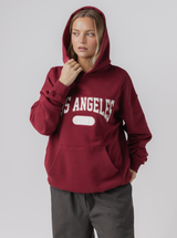 Varsity Hoodie