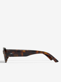 Dollin Polarized Sunglasses