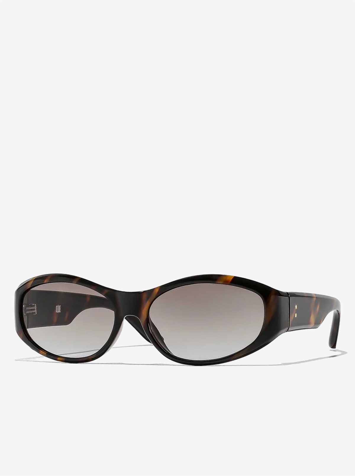Brooks Polarized Sunglasses